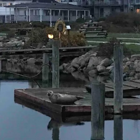 Hyggelig Lejlighed Med Havudsigt - Taet Pa